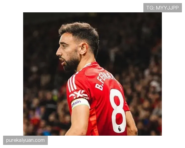 B费生涯上限已至？赛场表现与成长空间深度解析